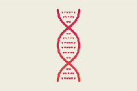 chromosome