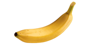 Banana731