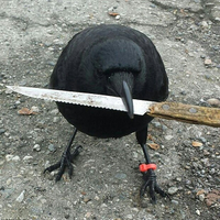 CrowWithKnife